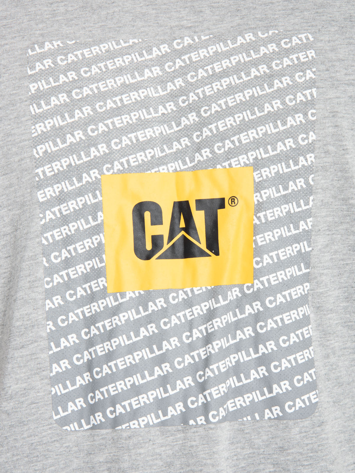 Pack Polera Casual Hombre Cat Repeat Graphic Tee / Cap Bundle Multicolor Cat