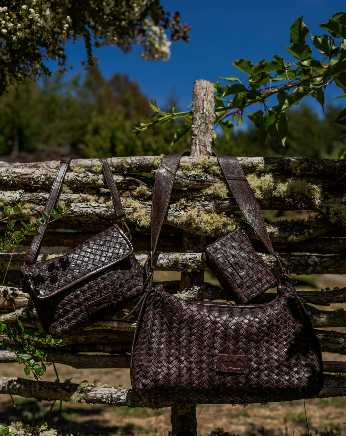 <p>Accesorios</p>