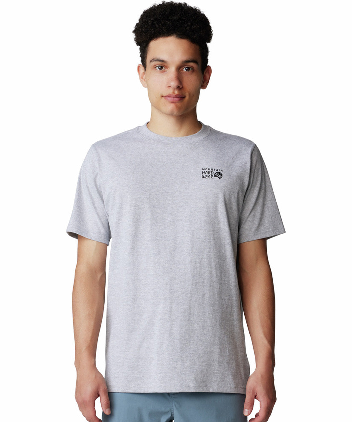 Polera Manga Corta Hombre Back Logo Gris Mountain Hardwear