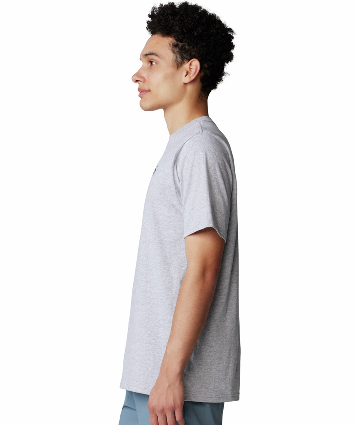Polera Manga Corta Hombre Back Logo Gris Mountain Hardwear
