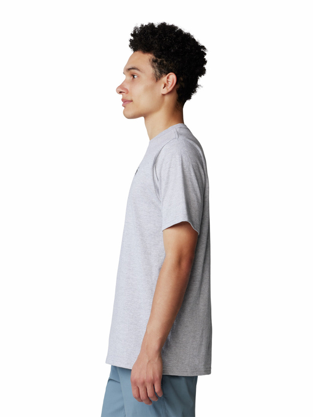 Polera Manga Corta Hombre Back Logo Gris Mountain Hardwear