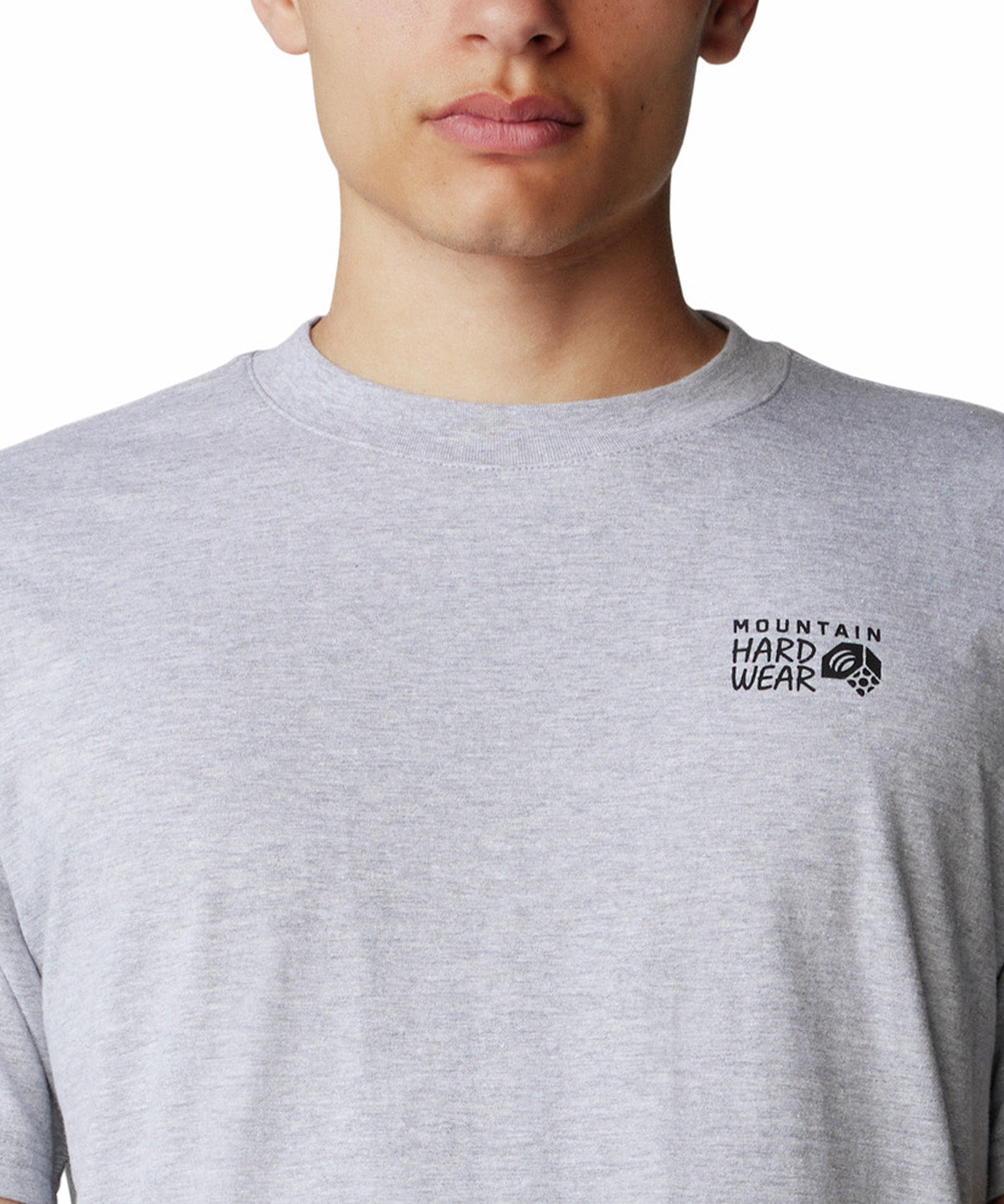 Polera Manga Corta Hombre Back Logo Gris Mountain Hardwear