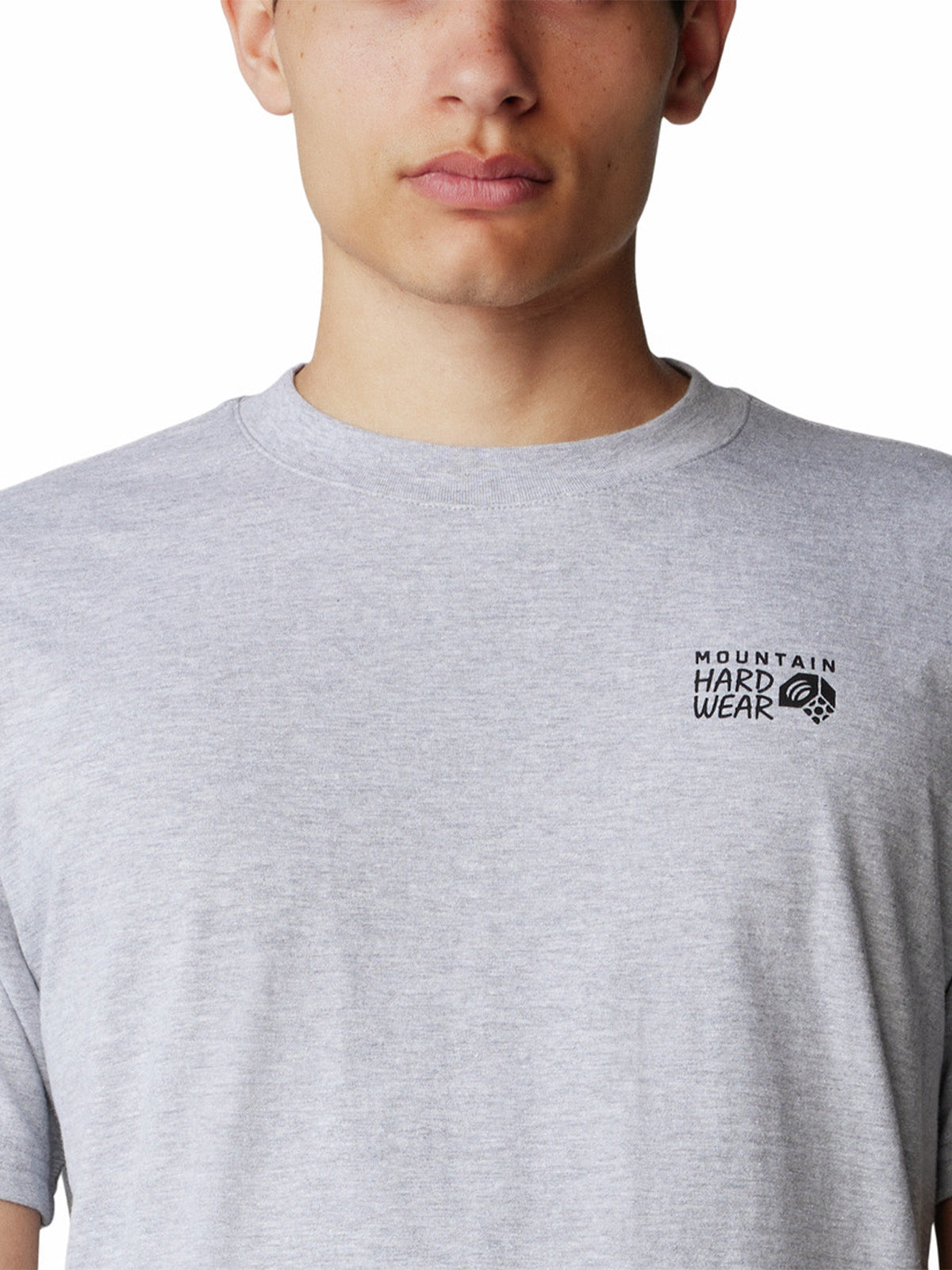 Polera Manga Corta Hombre Back Logo Gris Mountain Hardwear