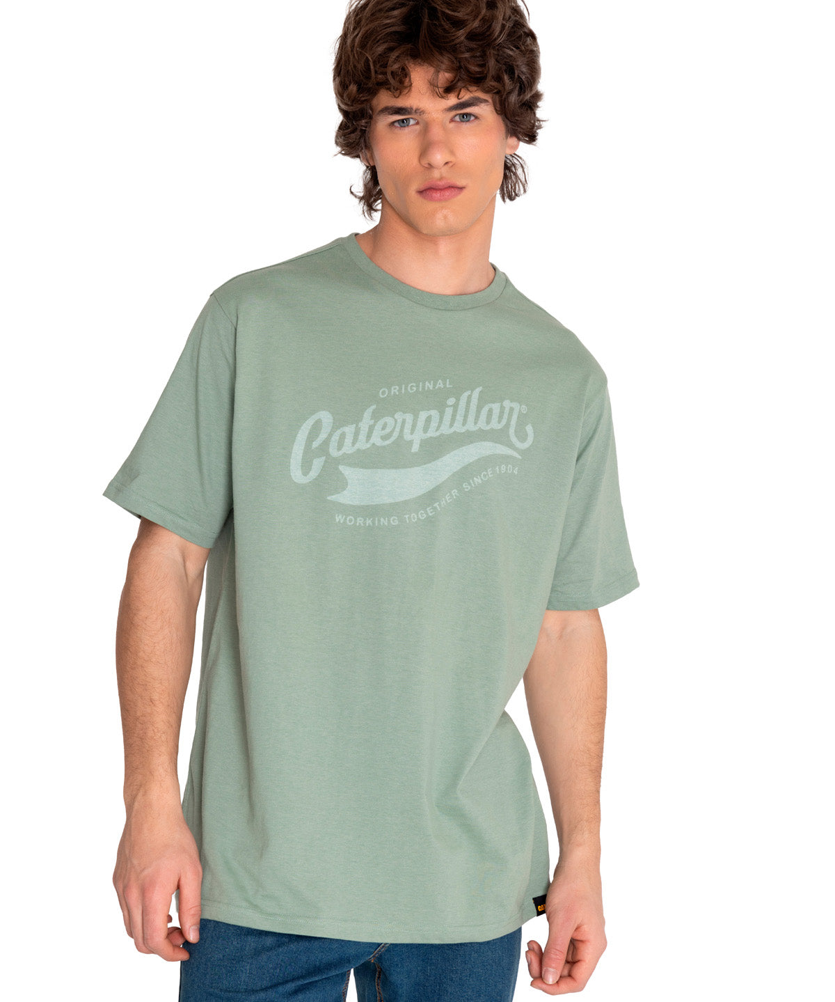 Polera Manga corta Casual Hombre HISTORIC TRADITION GRAPHIC TEE 2 Verde CAT
