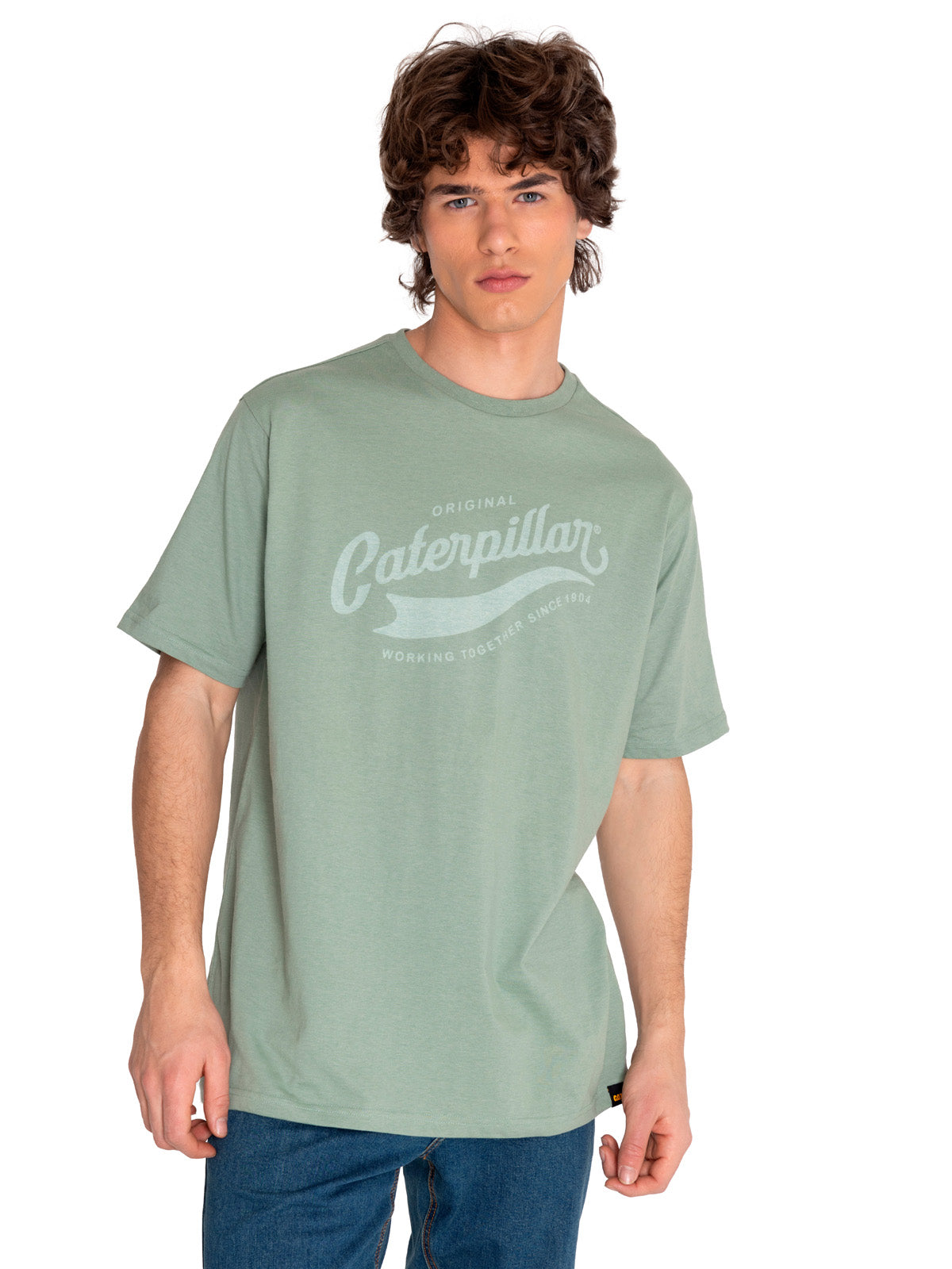 Polera Manga corta Casual Hombre HISTORIC TRADITION GRAPHIC TEE 2 Verde CAT