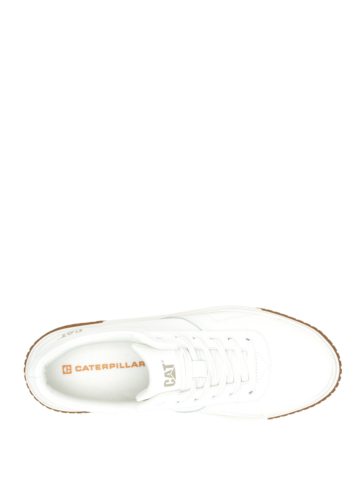 Zapatilla Mujer Amp Cat