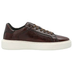 Zapato Cuero Hombre Volturno Café Rockford