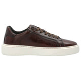 Zapato Cuero Hombre Volturno Café Rockford