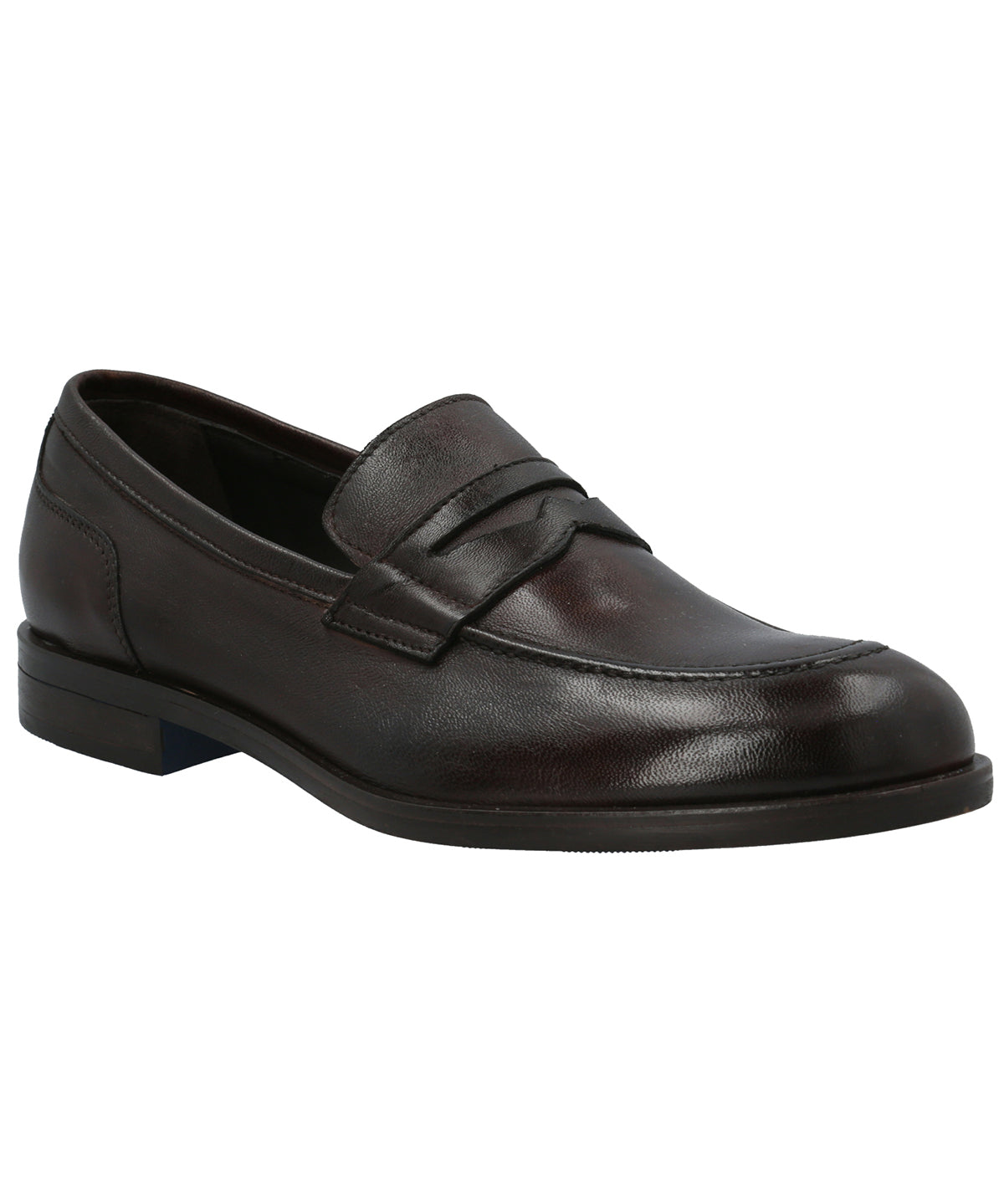 Zapato Cuero Hombre Ligure Café Rockford