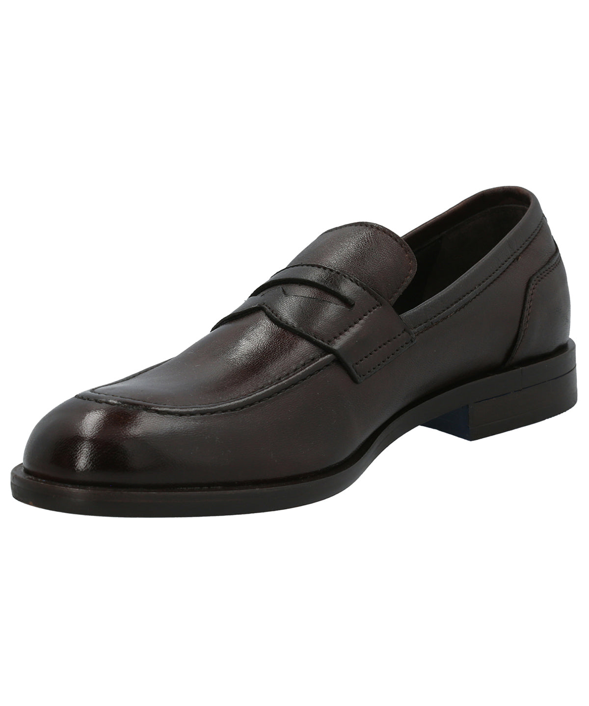 Zapato Cuero Hombre Ligure Café Rockford