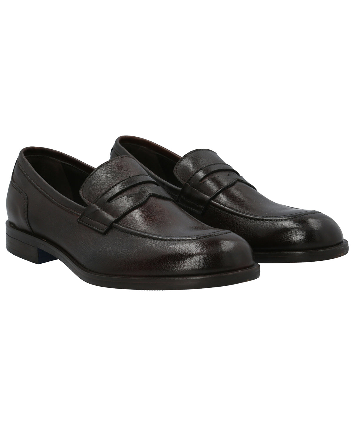 Zapato Cuero Hombre Ligure Café Rockford