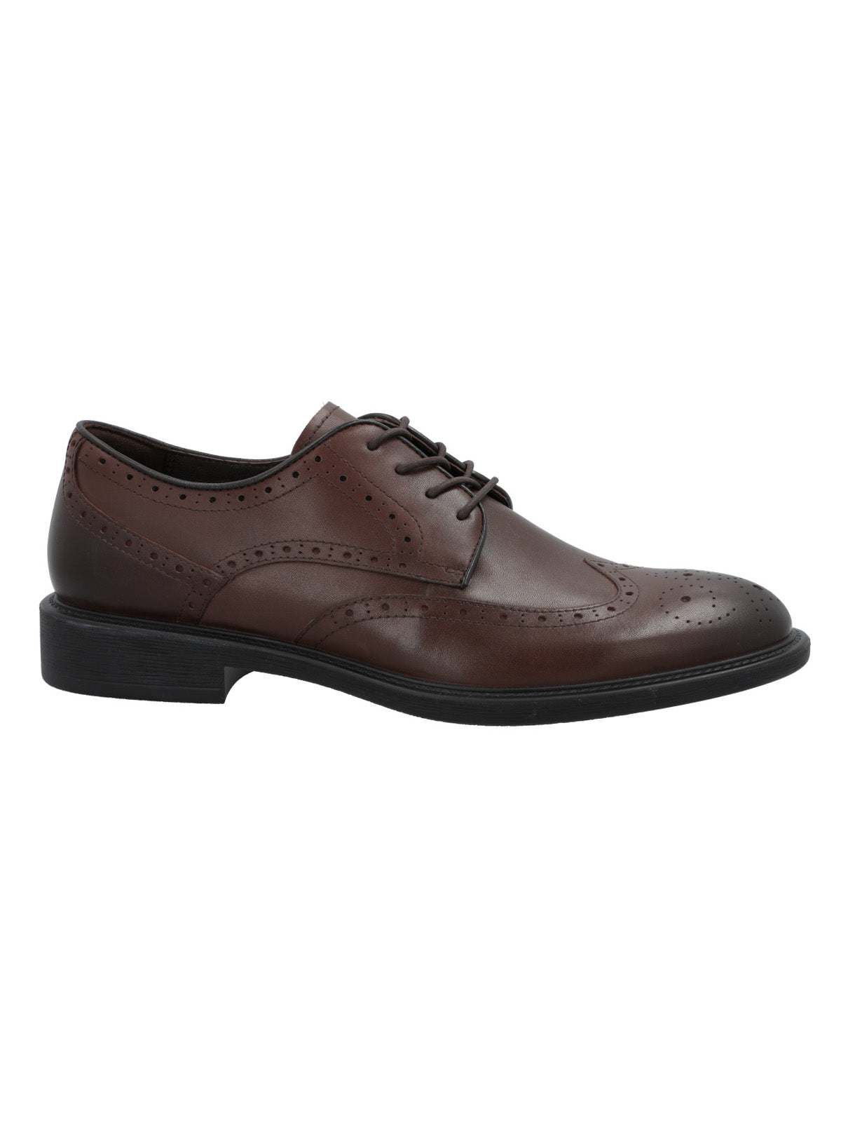 Zapato Cuero Hombre Terre Café