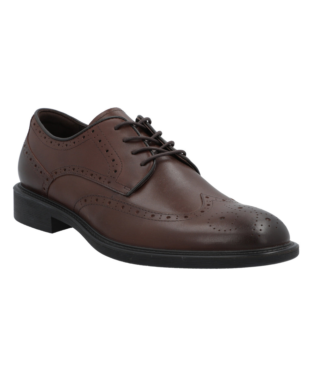 Zapato Cuero Hombre Terre Café