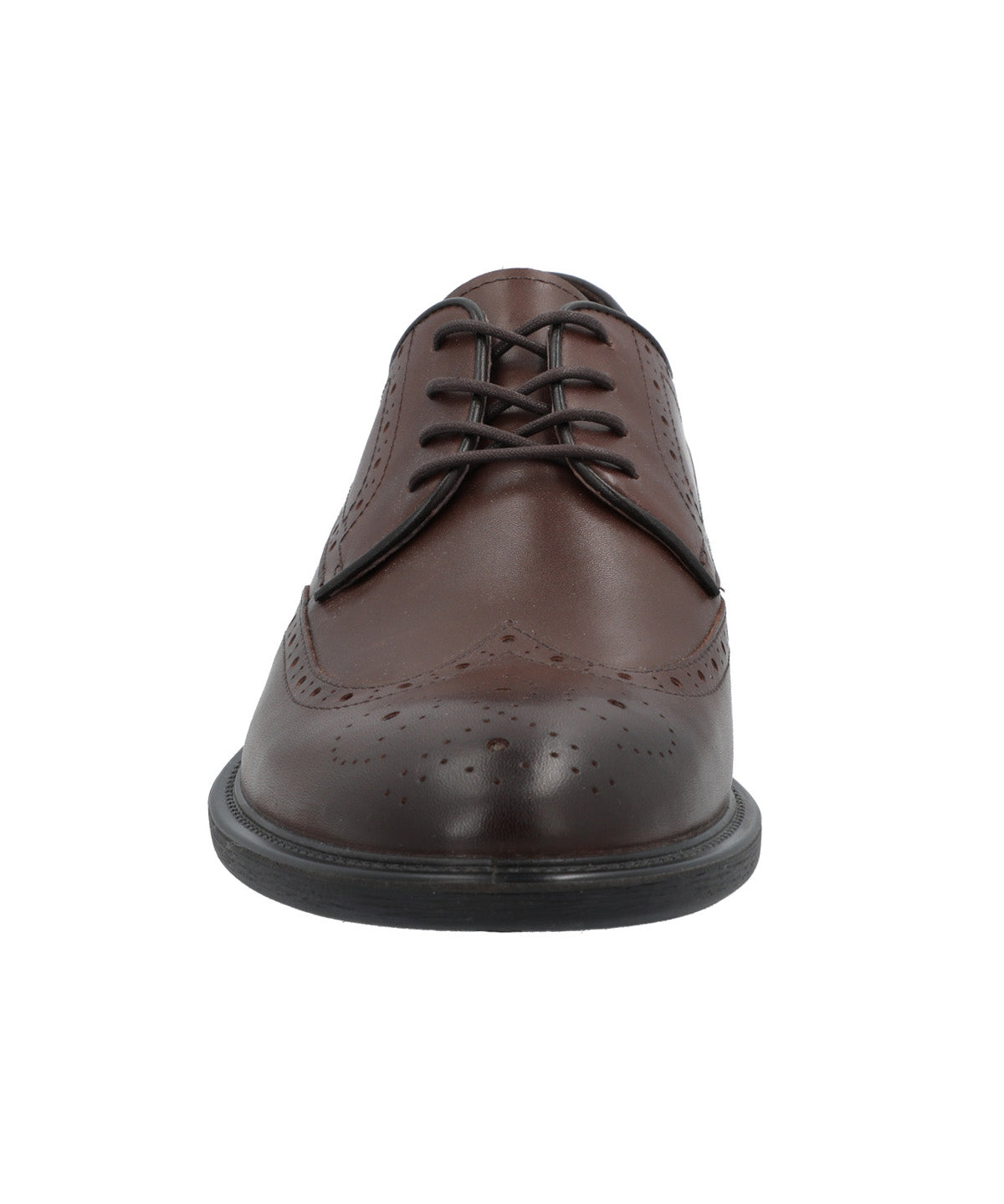 Zapato Cuero Hombre Terre Café