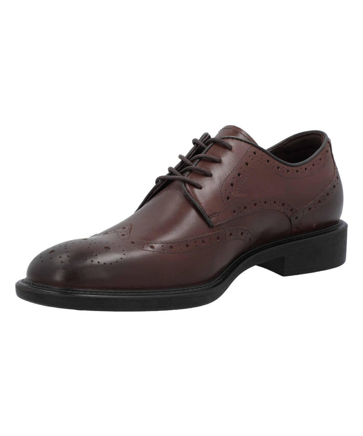 Zapato Cuero Hombre Terre Café