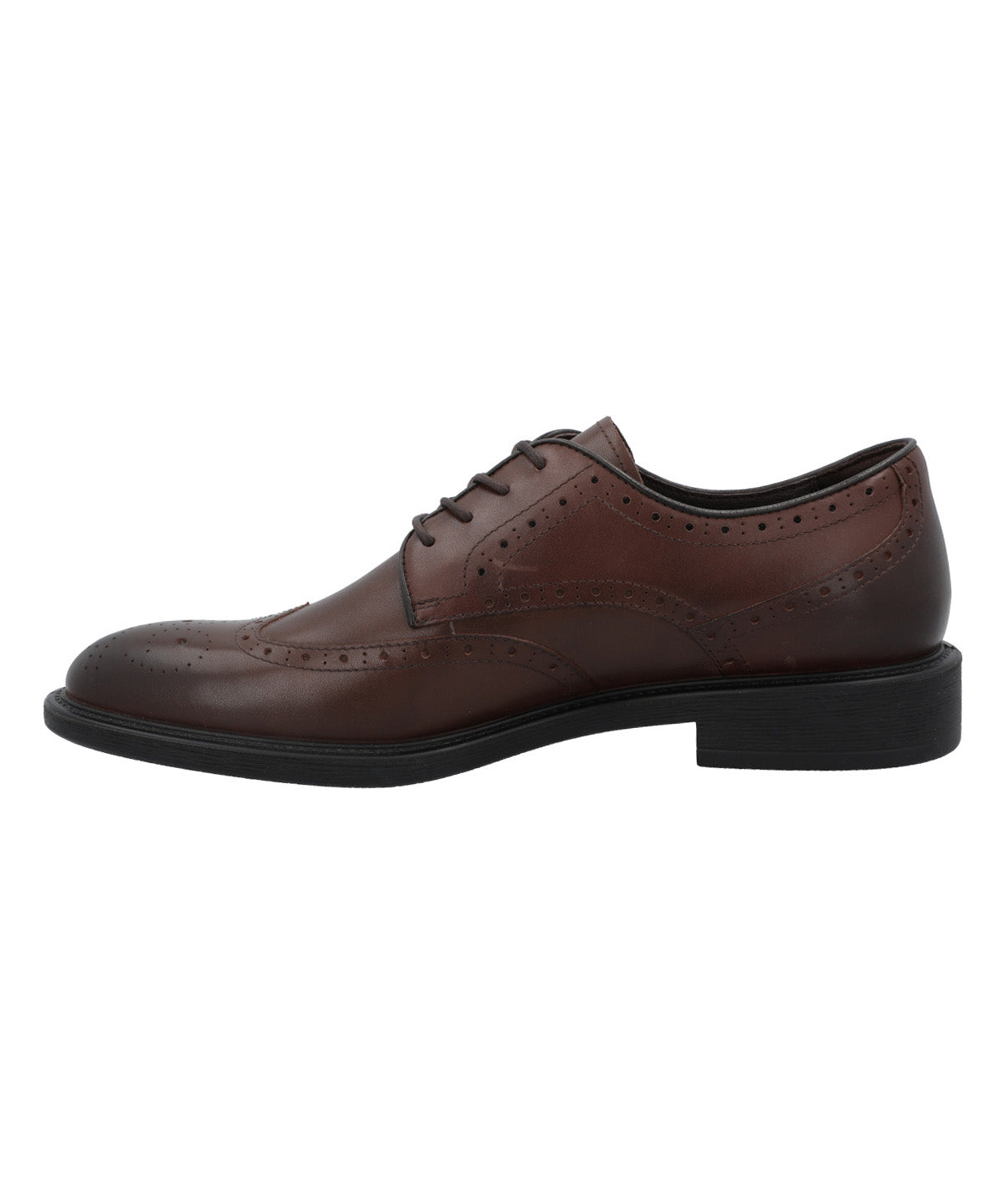 Zapato Cuero Hombre Terre Café