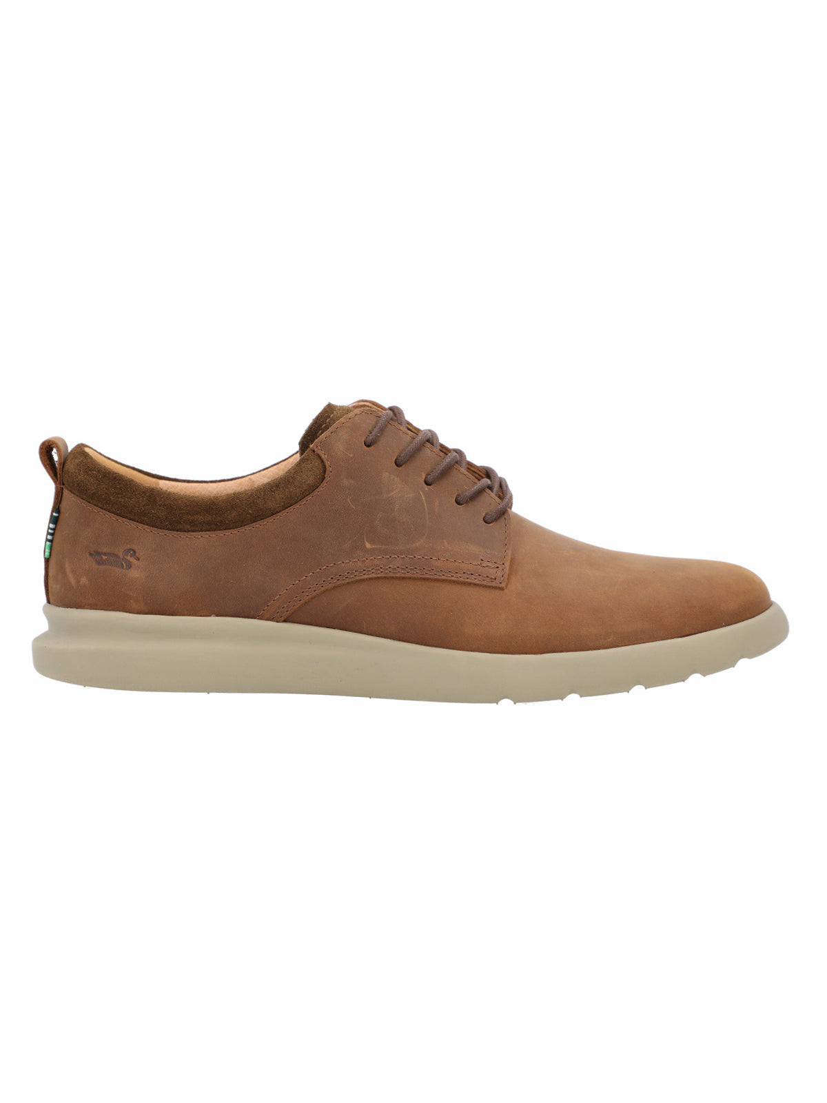 Zapato Cuero Hombre Anse Café Rockford