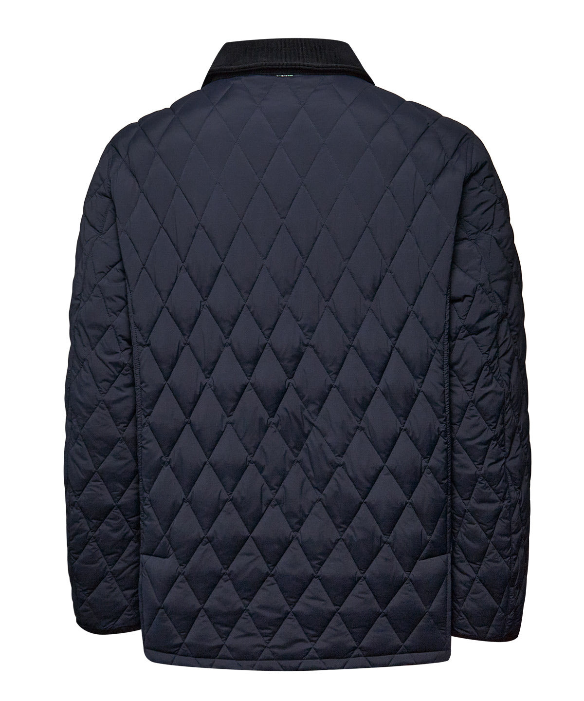 Parka Thermore Hombre Newport Azul Rockford