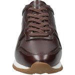 Zapatilla Cuero Hombre Graig Café Oscuro Rockford