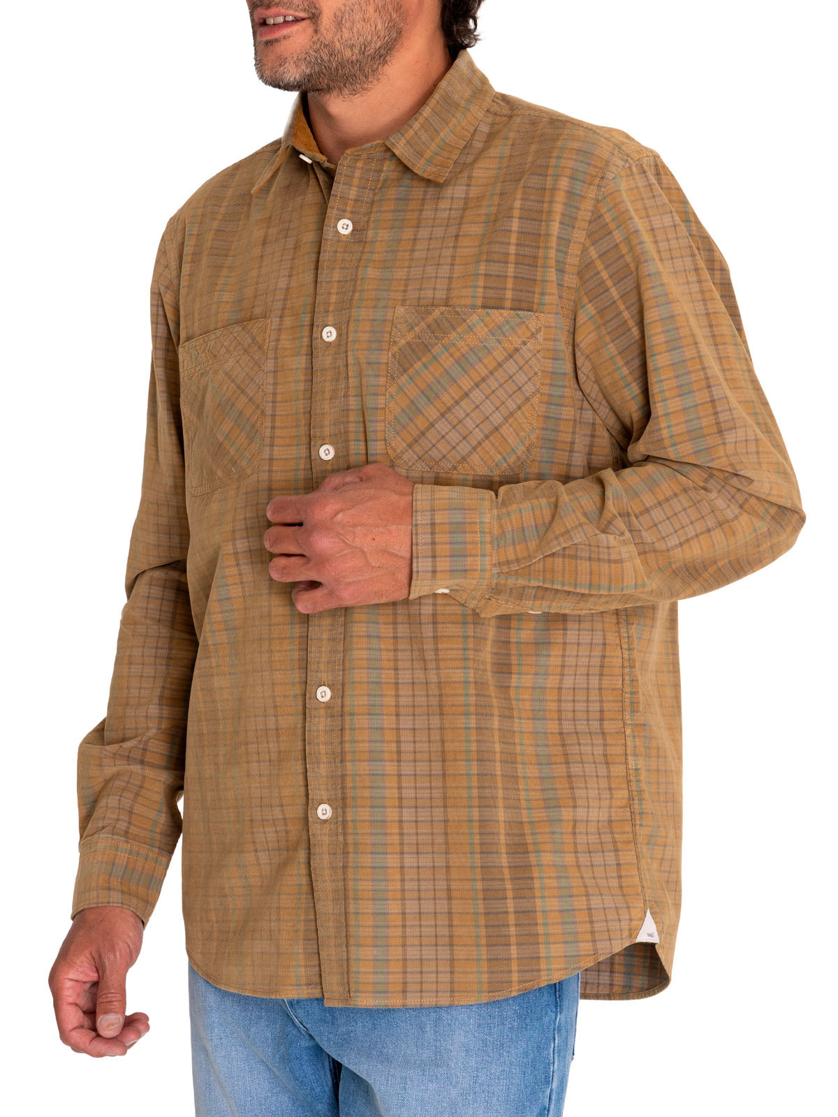 Camisa Algodón Orgánico Hombre Tartancord Beige/Crudo Rockford