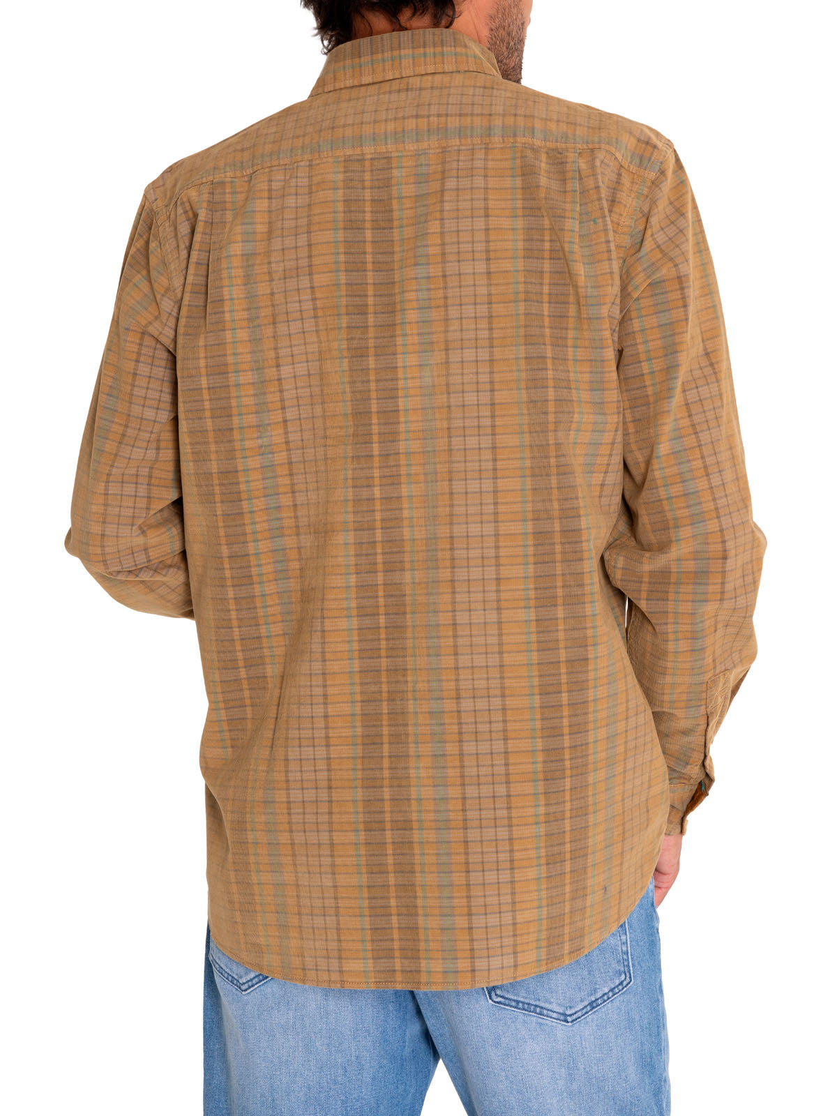 Camisa Algodón Orgánico Hombre Tartancord Beige/Crudo Rockford