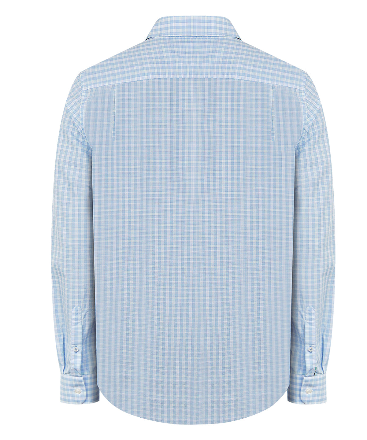 Camisa Algodón Orgánico Hombre Lighter Celeste Rockford