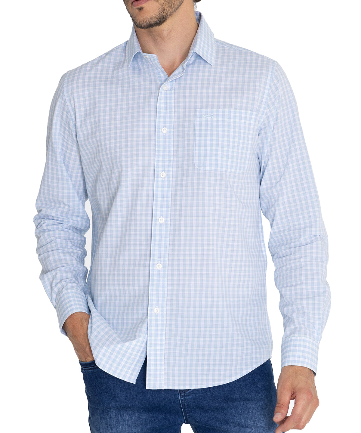 Camisa Algodón Orgánico Hombre Lighter Celeste Rockford