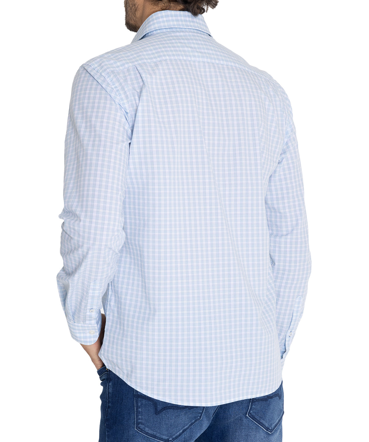 Camisa Algodón Orgánico Hombre Lighter Celeste Rockford