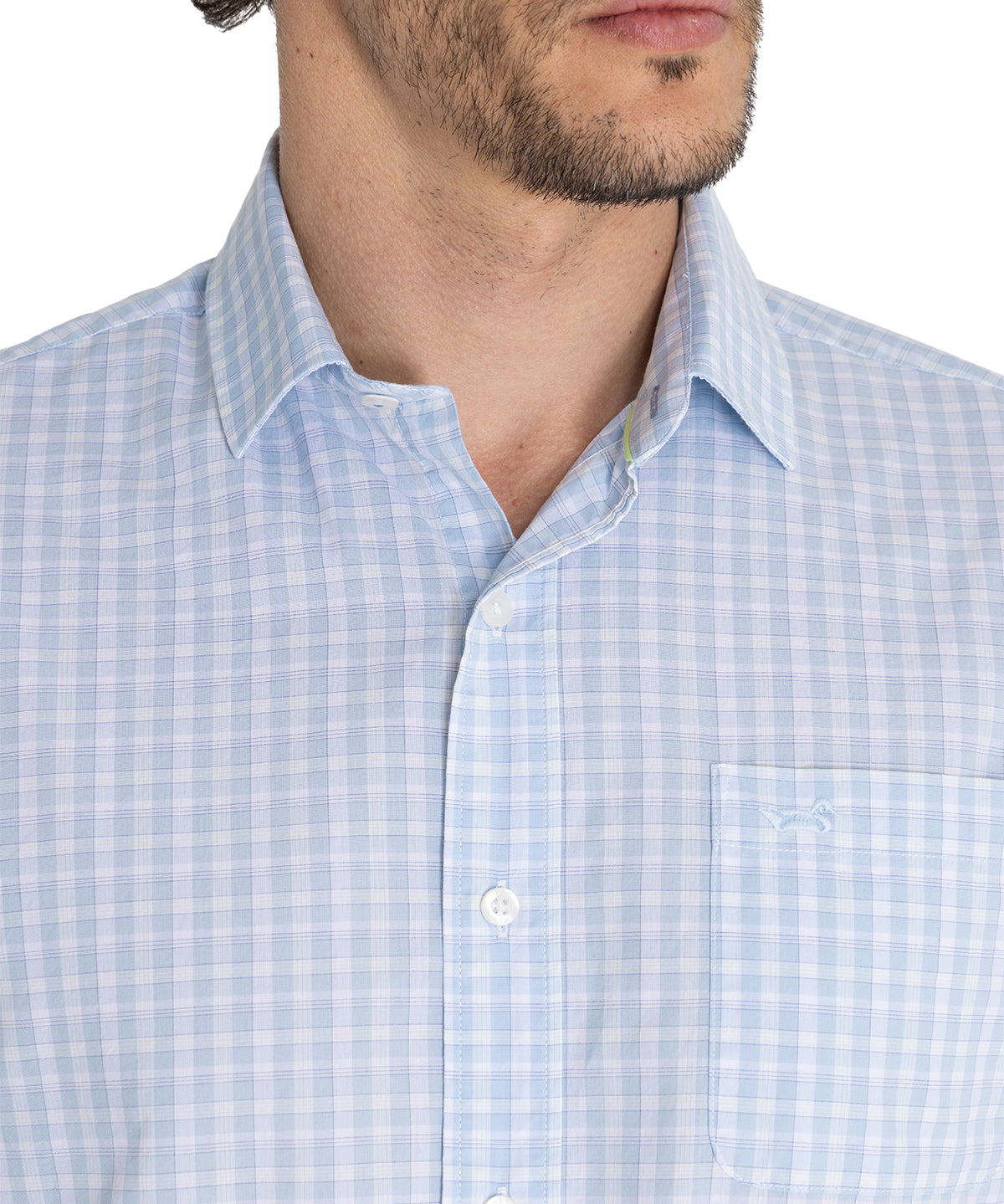 Camisa Algodón Orgánico Hombre Lighter Celeste Rockford