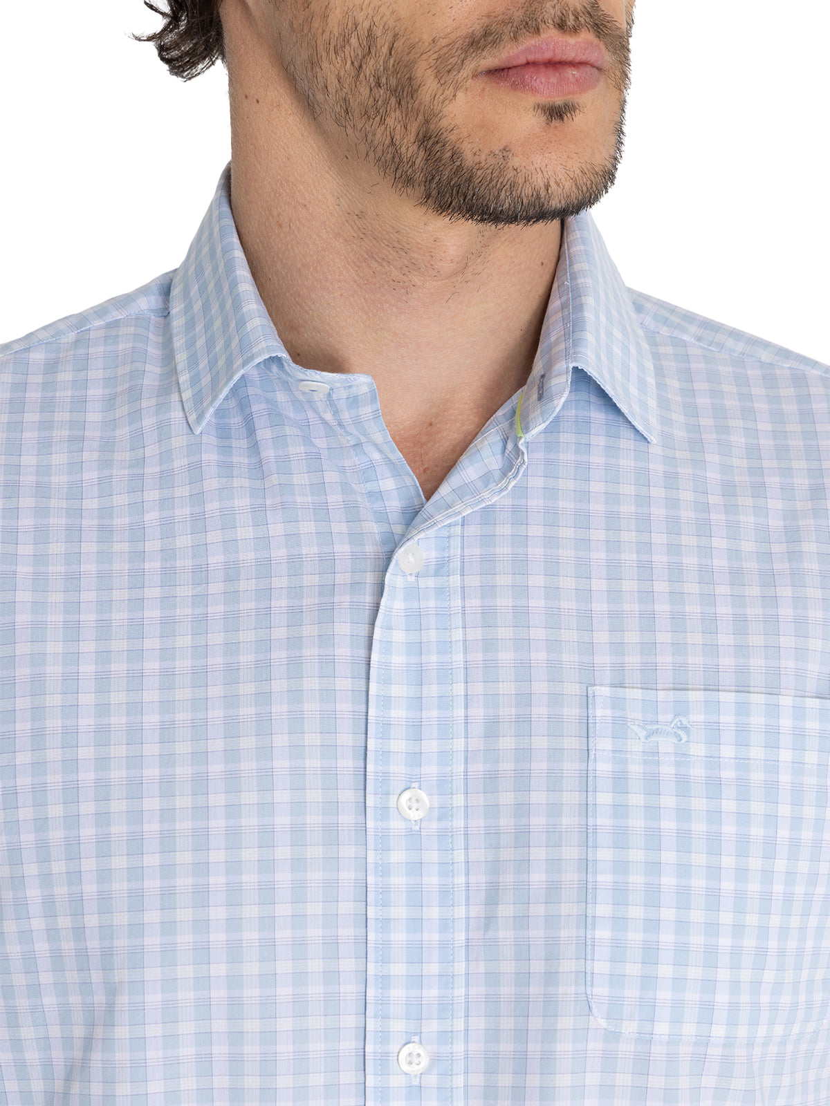 Camisa Algodón Orgánico Hombre Lighter Celeste Rockford
