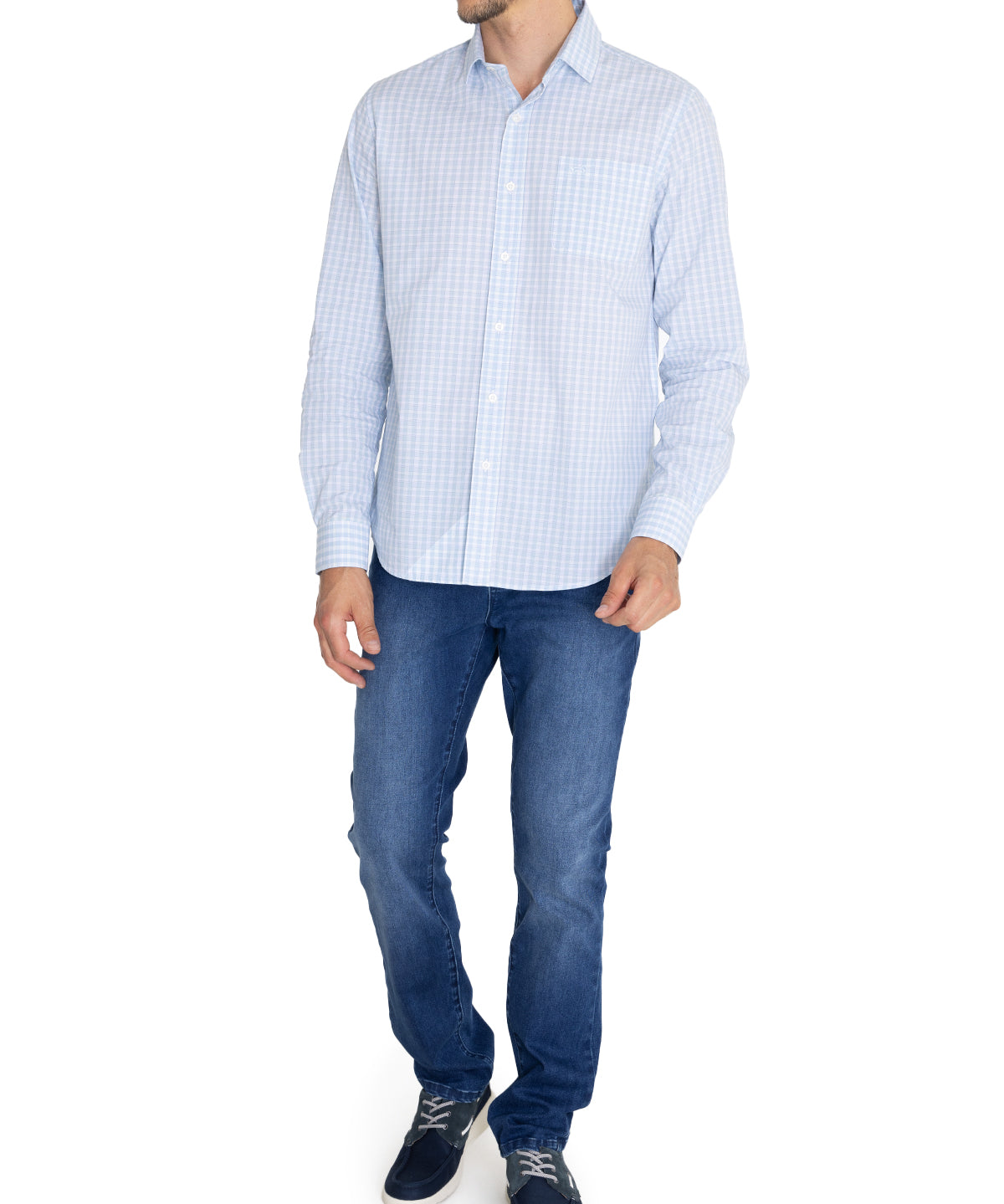 Camisa Algodón Orgánico Hombre Lighter Celeste Rockford