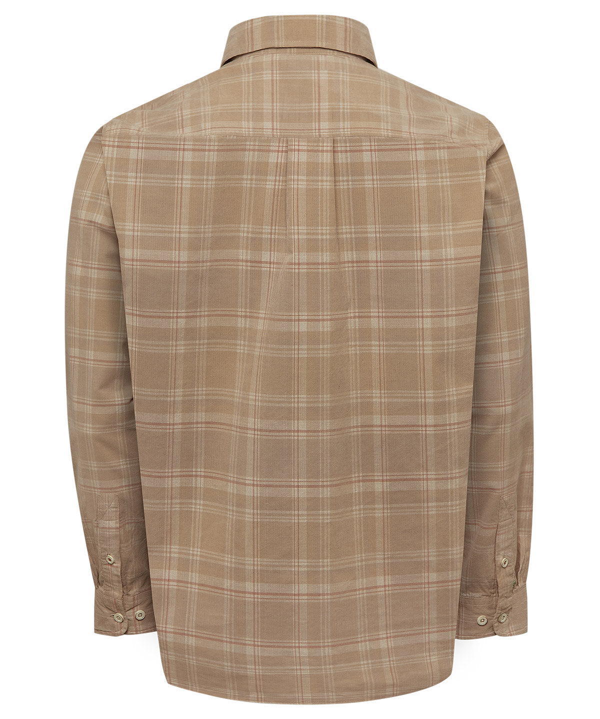 Camisa Algodón Orgánico Hombre Tartancord Beige Rockford