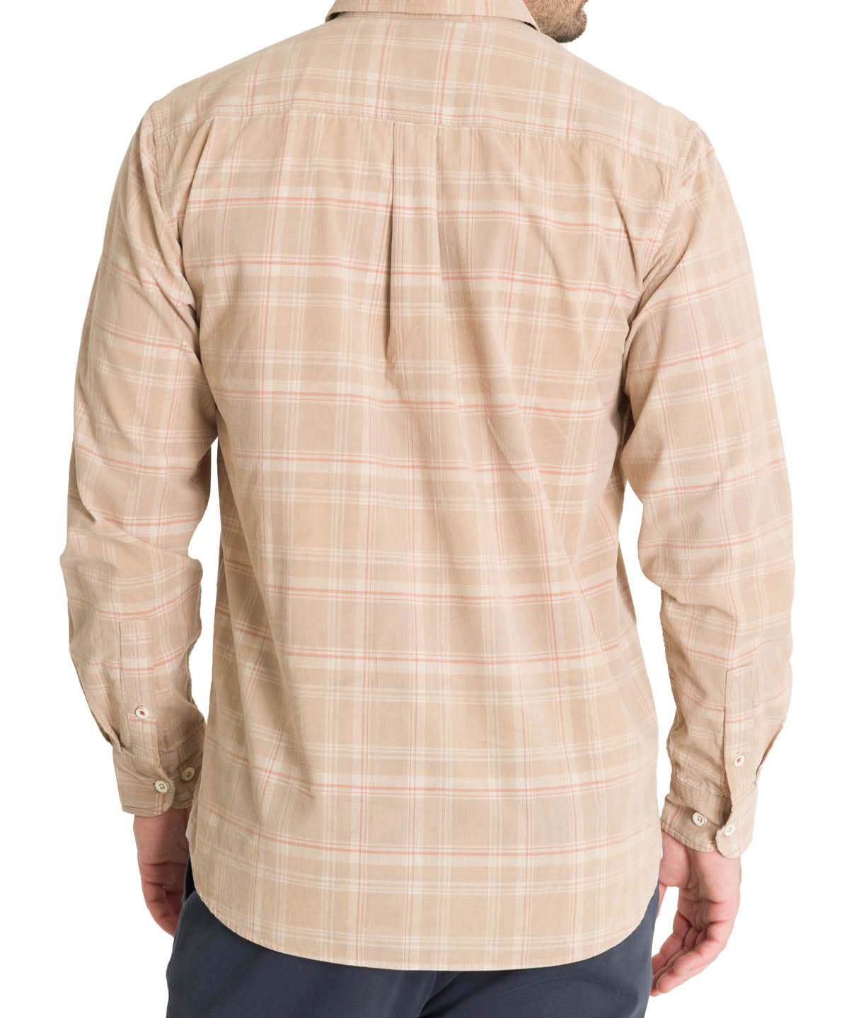 Camisa Algodón Orgánico Hombre Tartancord Beige Rockford