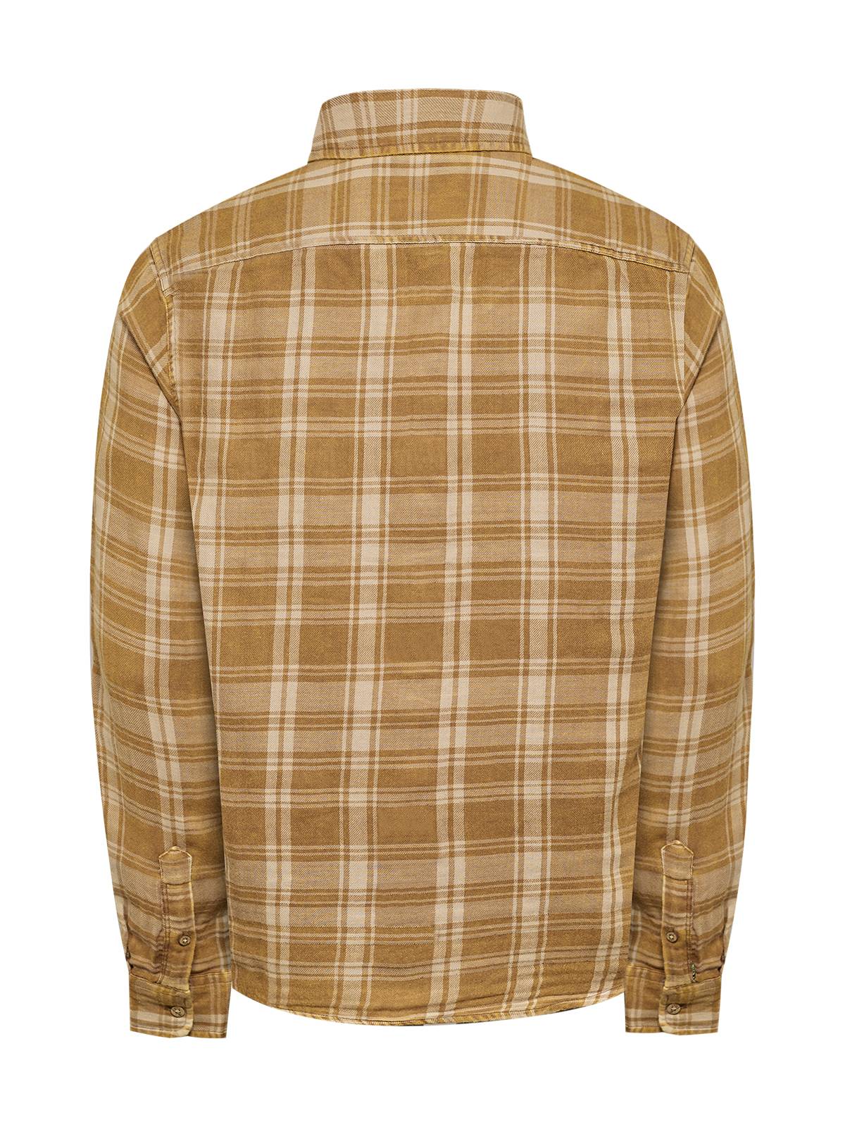 Camisa Algodón Orgánico Hombre Bradford Beige Rockford