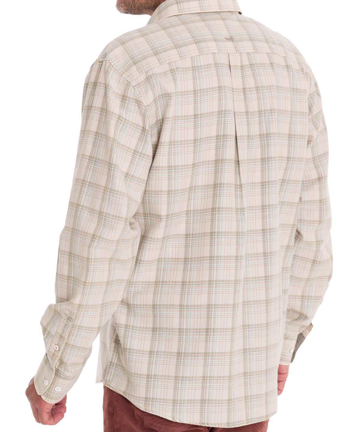 Camisa Algodón Orgánico Hombre Arbed Verde Rockford