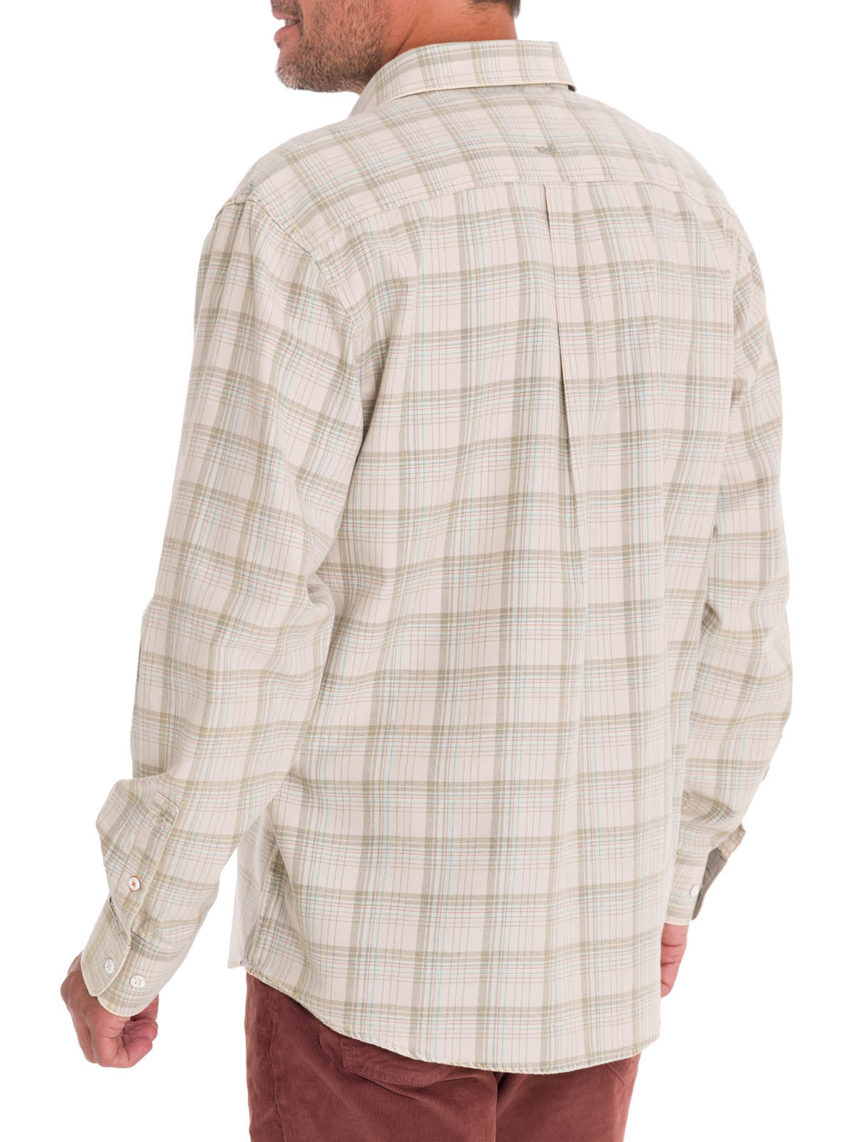 Camisa Algodón Orgánico Hombre Arbed Verde Rockford