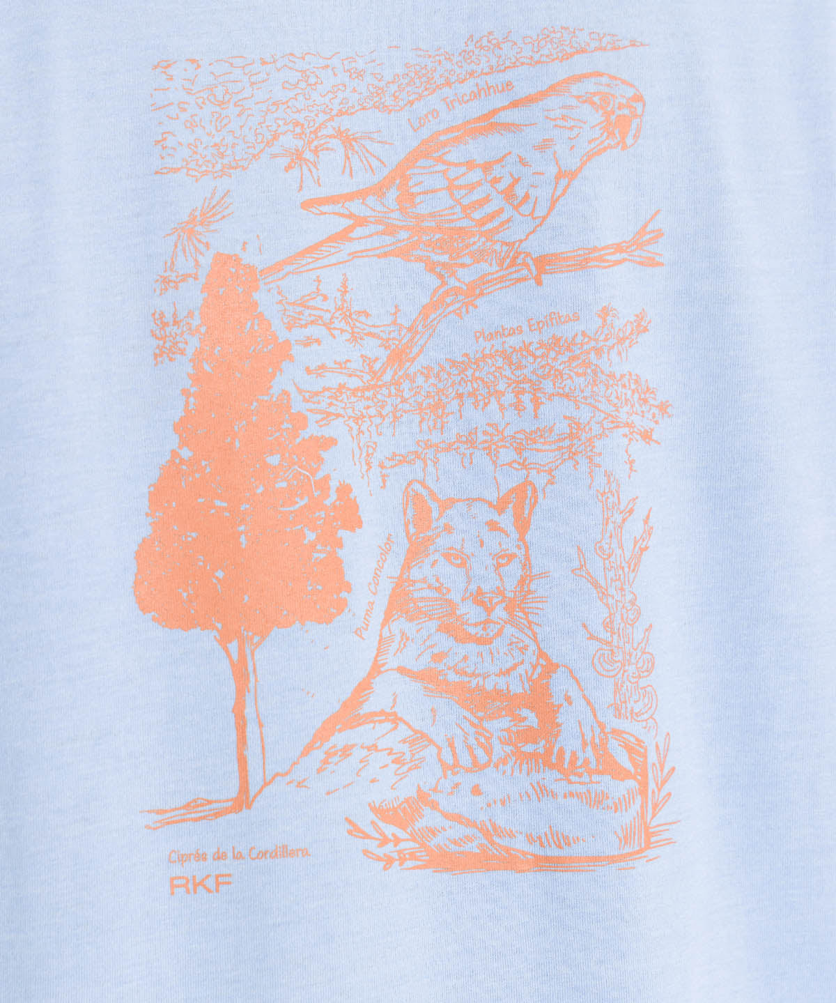 Polera Algodón Orgánico Hombre Native Celeste Rockford