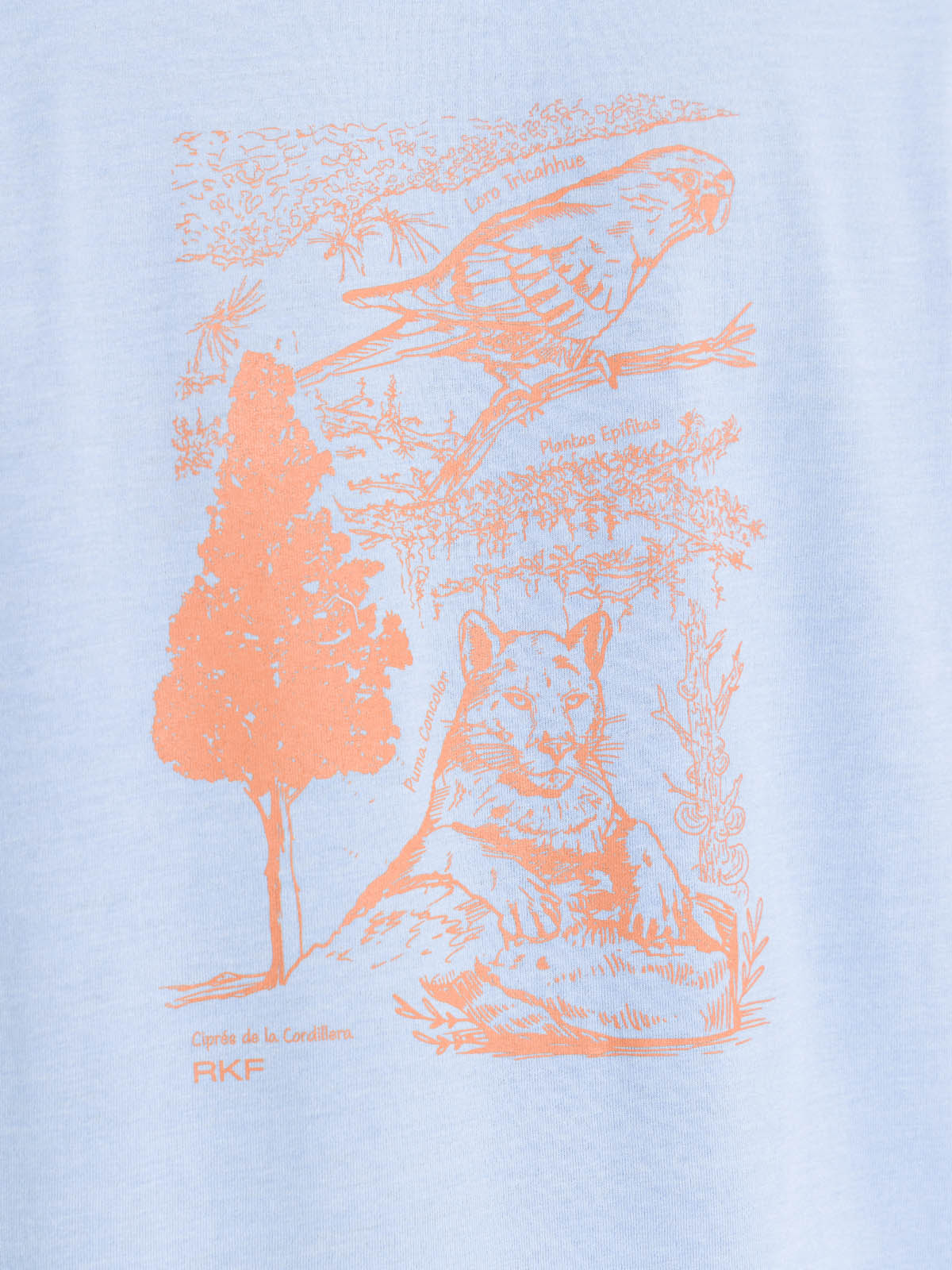 Polera Algodón Orgánico Hombre Native Celeste Rockford