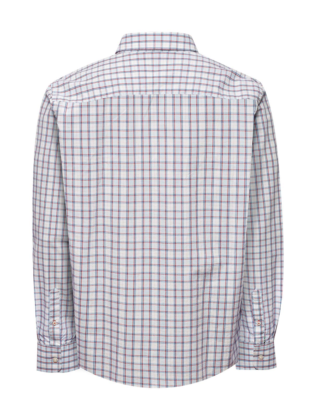 Camisa Algodón Orgánico Hombre Lighter Azul Rockford