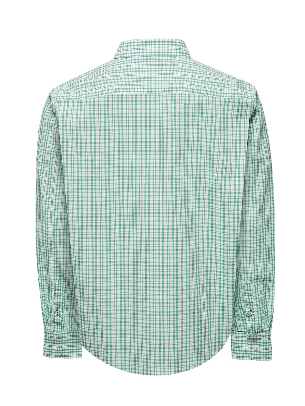 Camisa Algodón Orgánico Hombre Lighter Verde Rockford