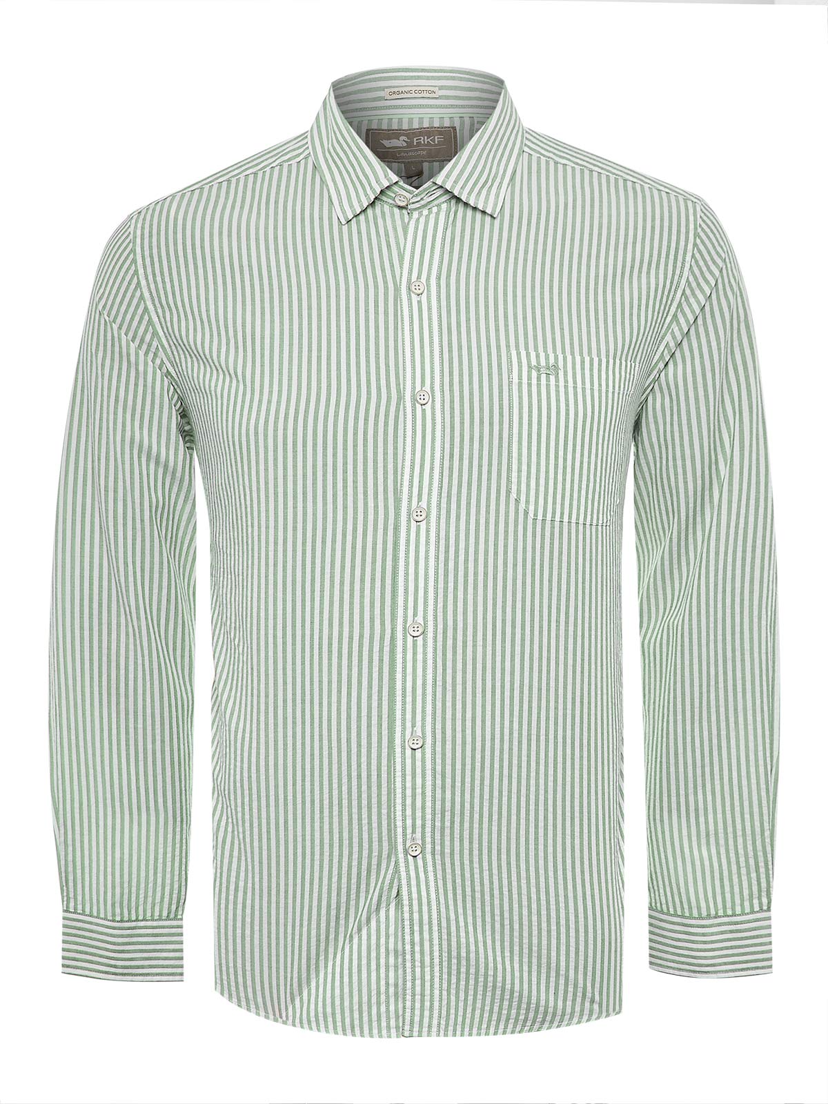 Camisa Algodón Orgánico Hombre Raya Verde Rockford