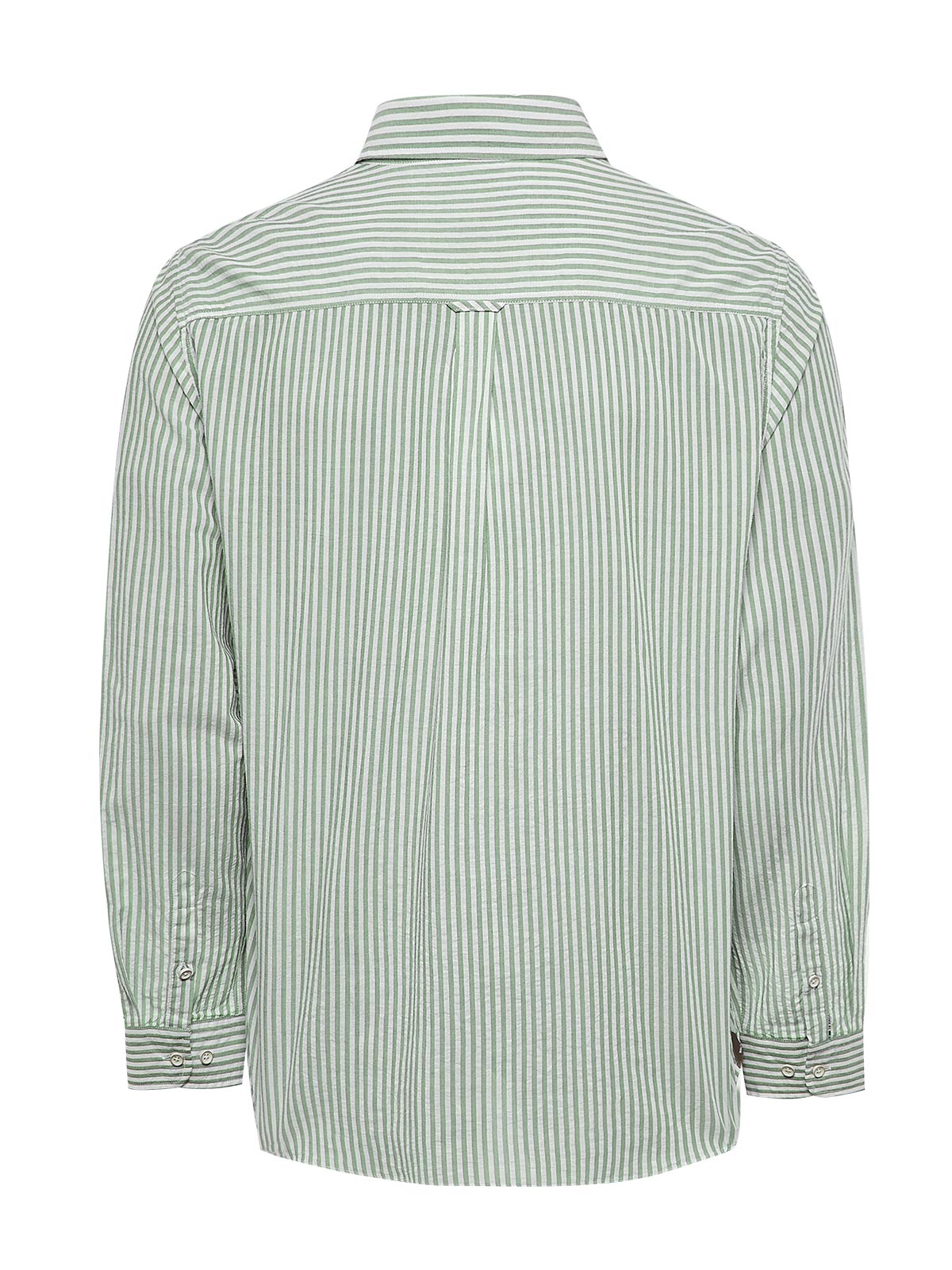 Camisa Algodón Orgánico Hombre Raya Verde Rockford