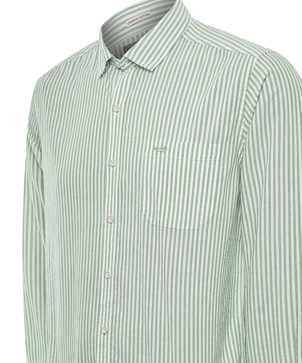 Camisa Algodón Orgánico Hombre Raya Verde Rockford
