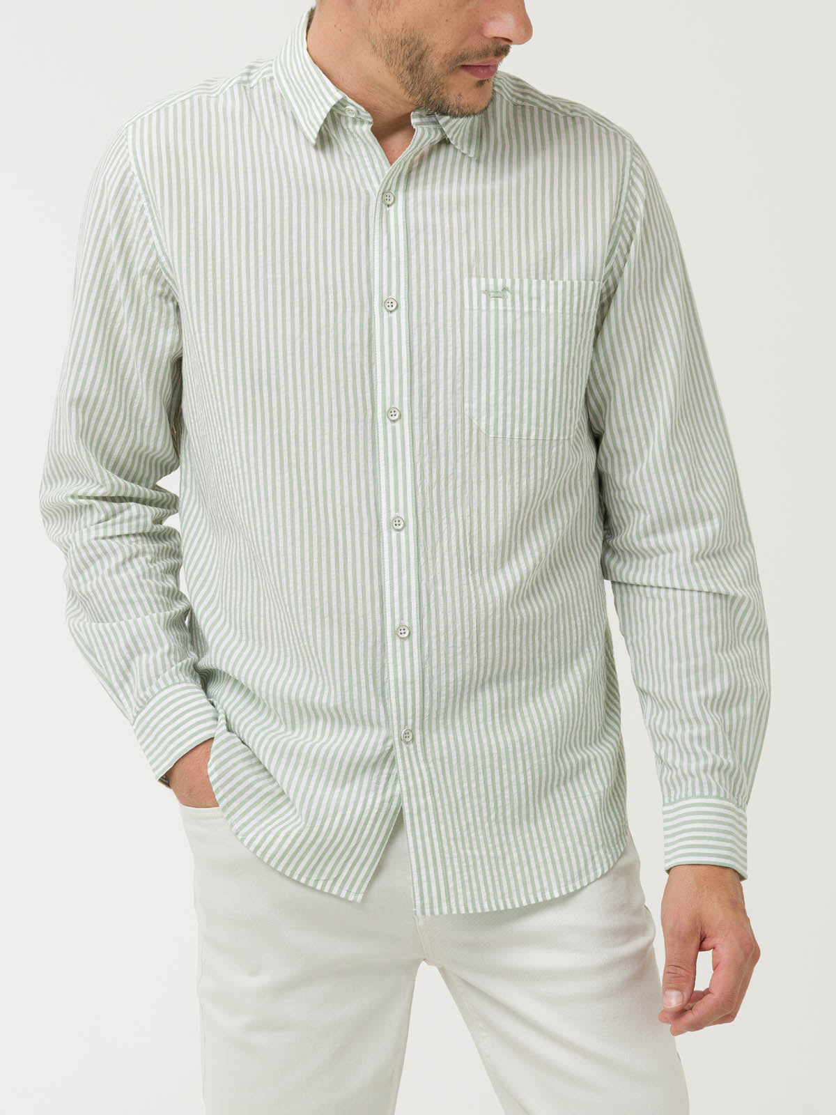 Camisa Algodón Orgánico Hombre Raya Verde Rockford