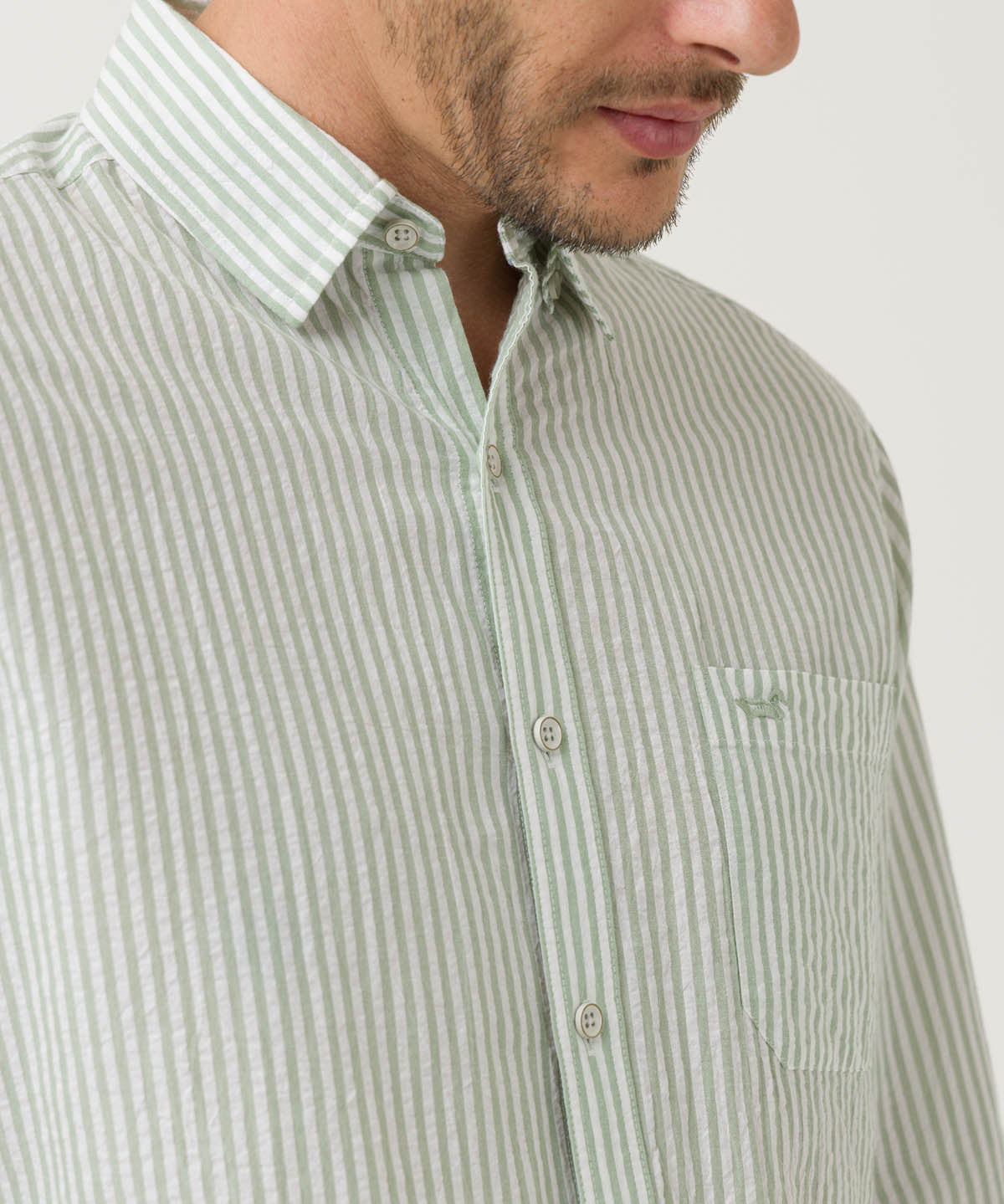 Camisa Algodón Orgánico Hombre Raya Verde Rockford