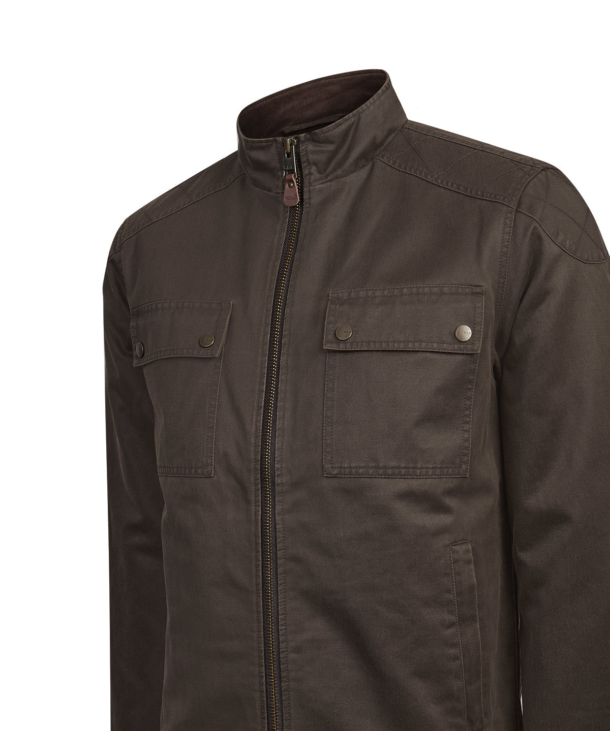 Chaqueta Algodón Hombre Olbia Café Rockford