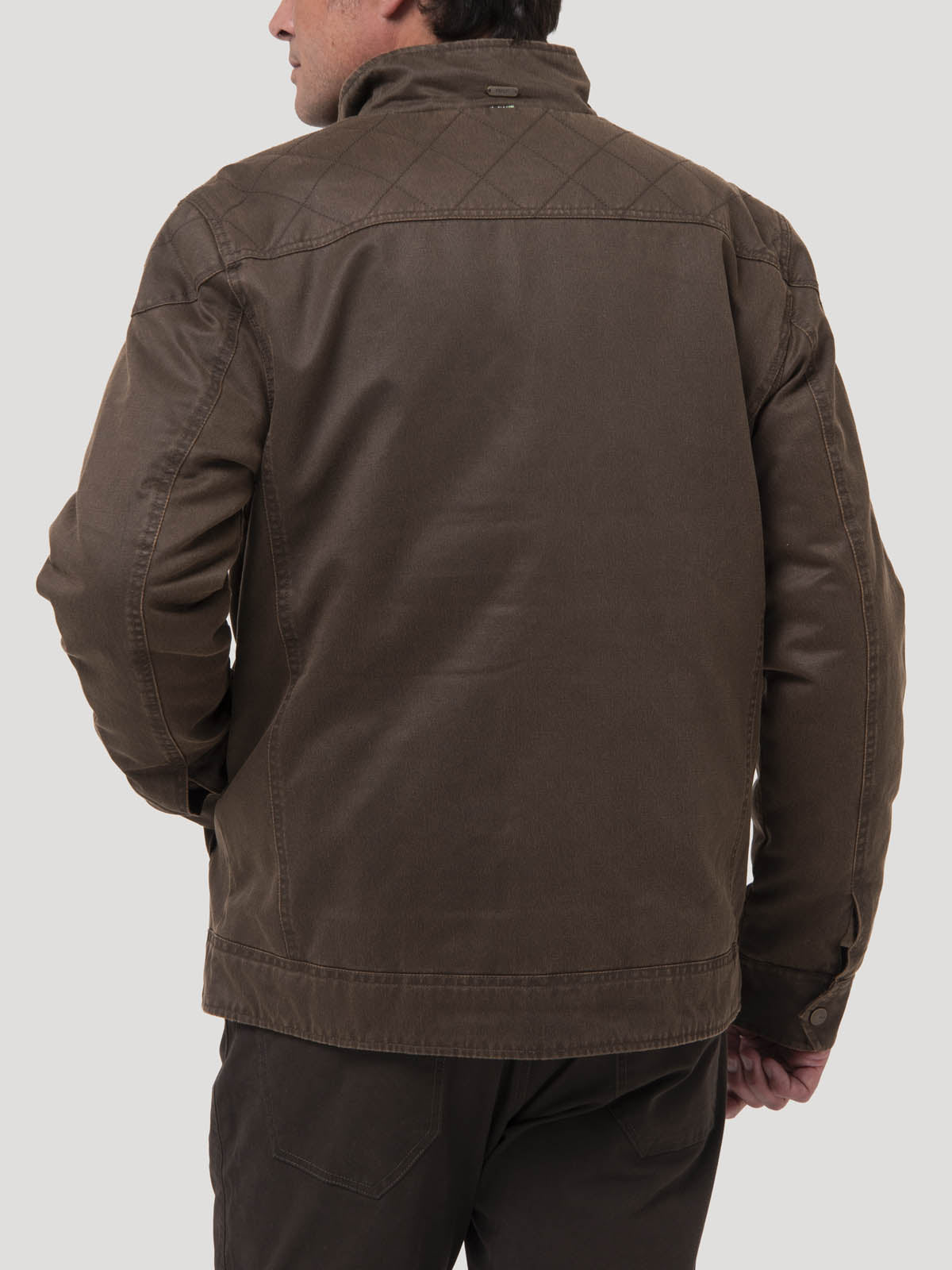 Chaqueta Algodón Hombre Olbia Café Rockford