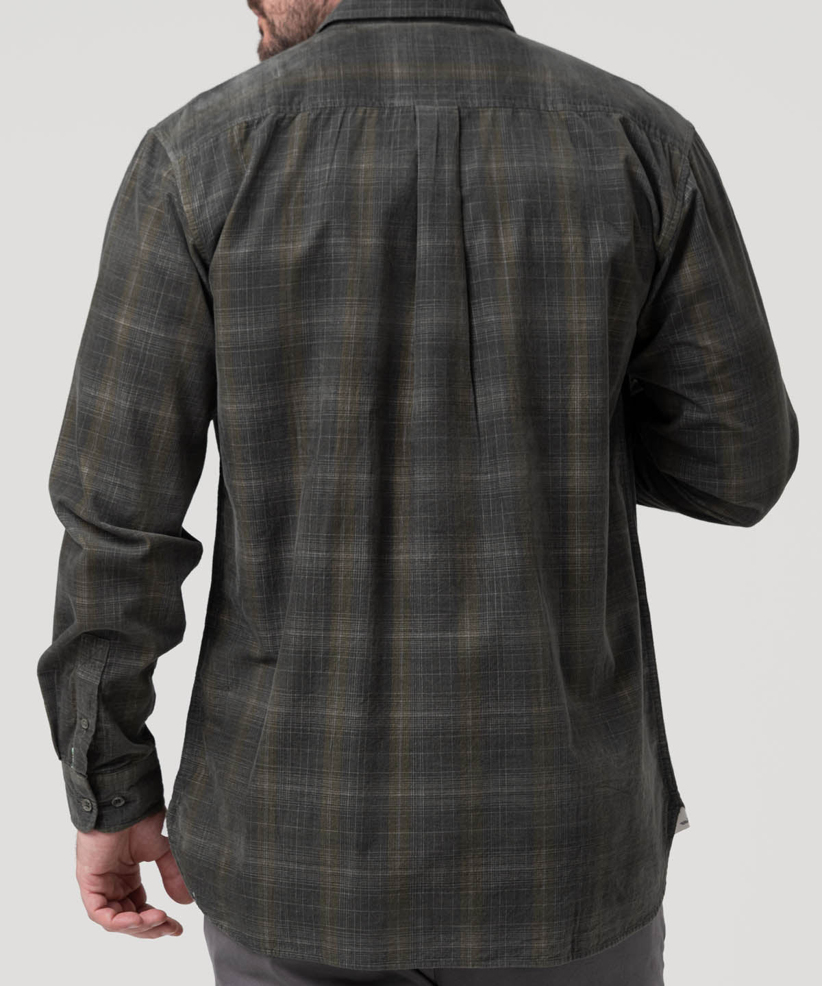 Camisa Algodón Orgánico Hombre Tartancord Café Rockford