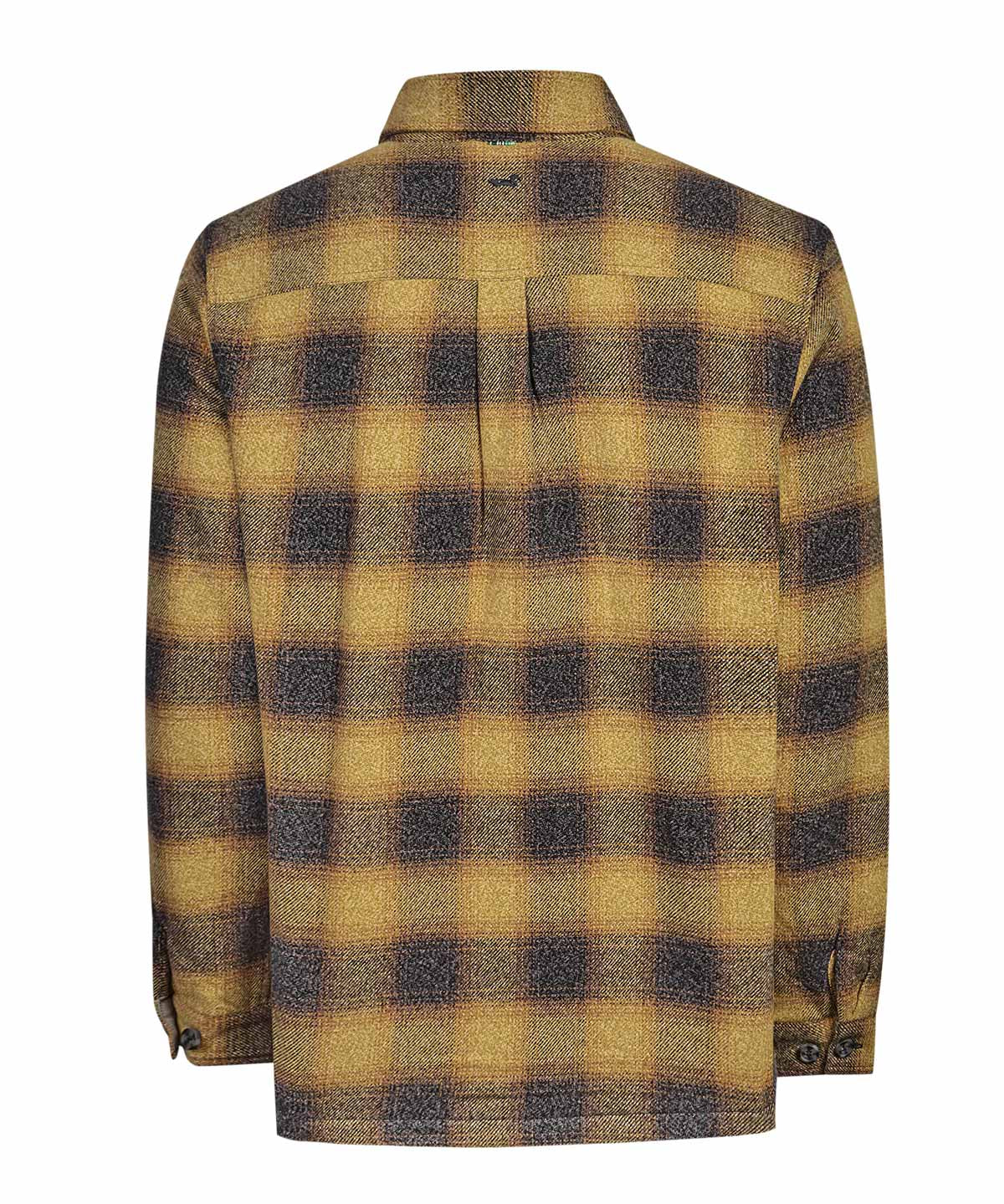 Chaqueta Algodón Orgánico Hombre Norwood Café Rockford