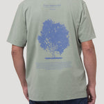 Polera Algodón Hombre Onetree Verde Rockford